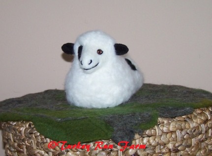 Photo of Merino lamb in Fiber Art